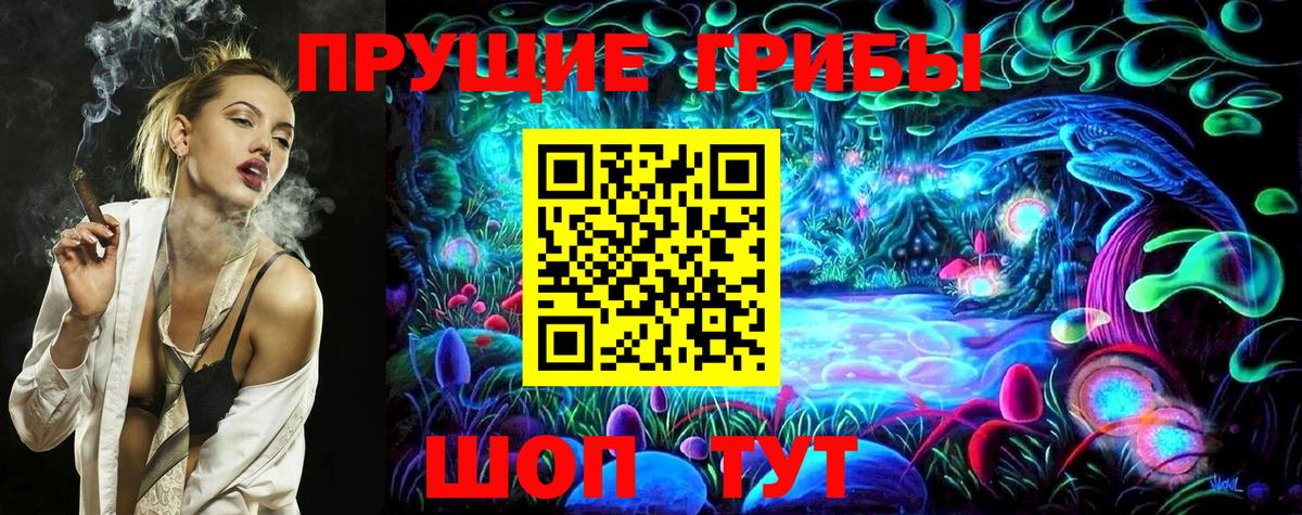 Галлюциногенные грибы GOLDEN TEACHER  Псилоцибиновые грибы Magic Shrooms  Вход с VPN  Новодвинск 
