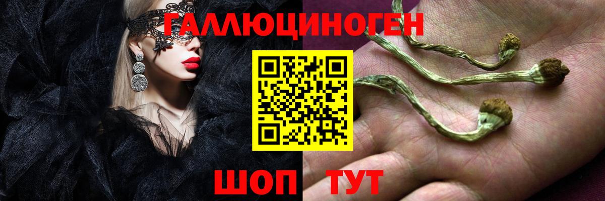 Галлюциногенные грибы GOLDEN TEACHER Новодвинск