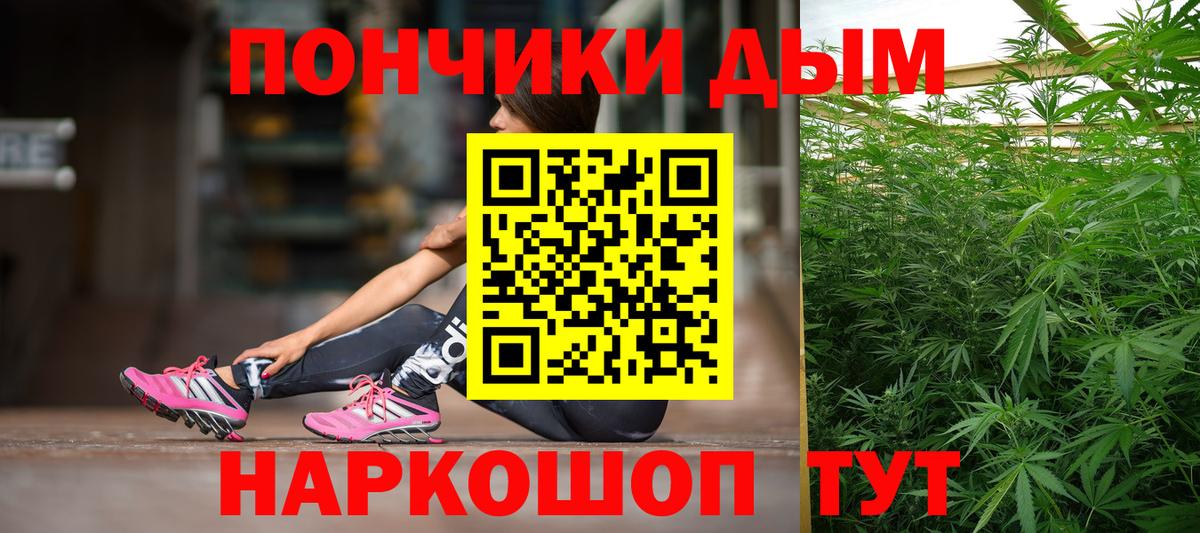 Шишки марихуана конопля  Канабис SATIVA & INDICA  Марихуана VHQ  Вход с VPN  Новодвинск  МАРИХУАНА THC 21% 